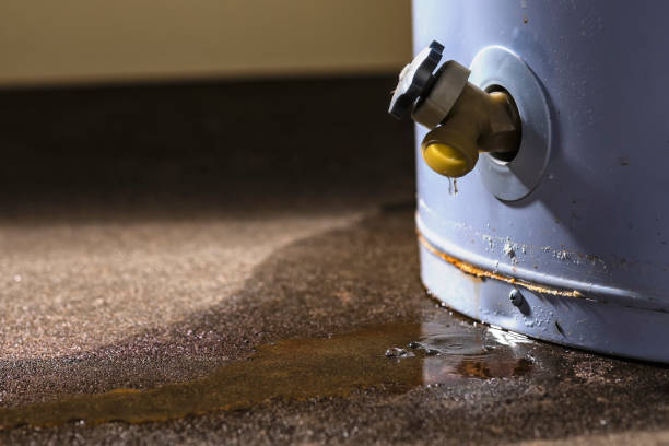 Best Professional water damage repair  in Mcchord Af, WA