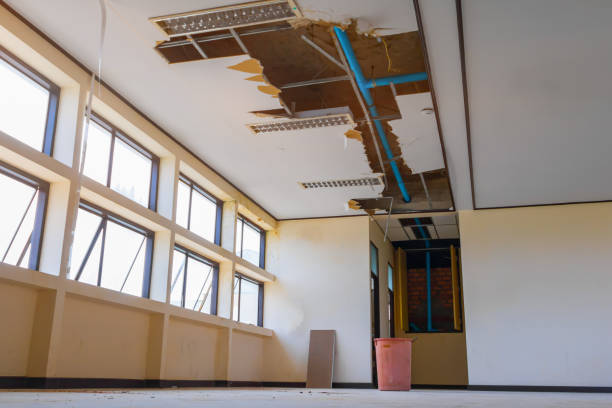 Best 24/7 water damage repair  in Mcchord Af, WA
