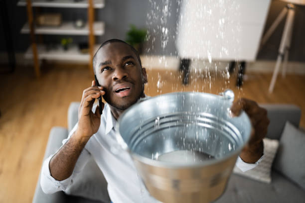 Best Basement water damage restoration  in Mcchord Af, WA