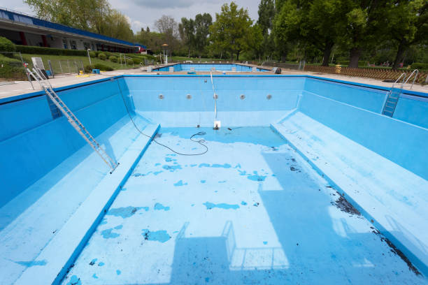 Best Local water damage restoration  in Mcchord Af, WA