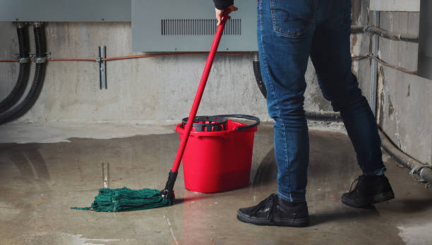 Best Basement water damage restoration  in Mcchord Af, WA