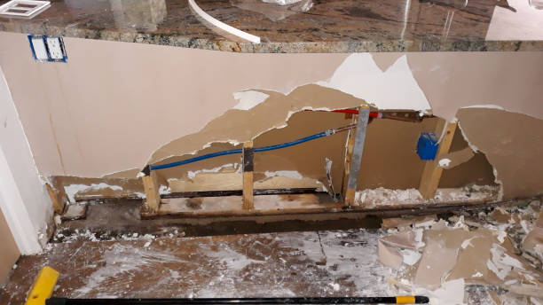 Best Mold removal after water damage  in Mcchord Af, WA