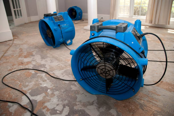 Reliable Mcchord Af, WA Water damage restoration Solutions