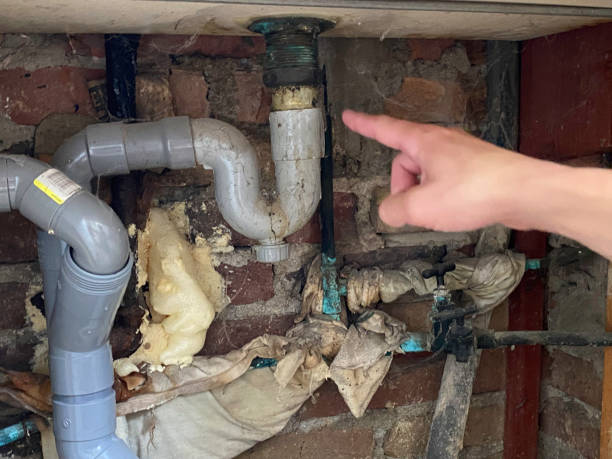 Best Water damage restoration process  in Mcchord Af, WA