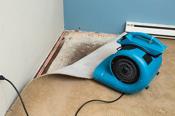 Best Flood damage cleanup  in Mcchord Af, WA